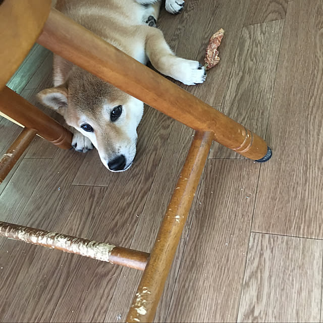 luckyさんの実例写真