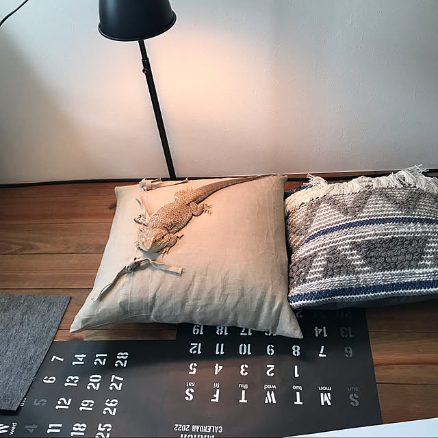 japitonさんの実例写真