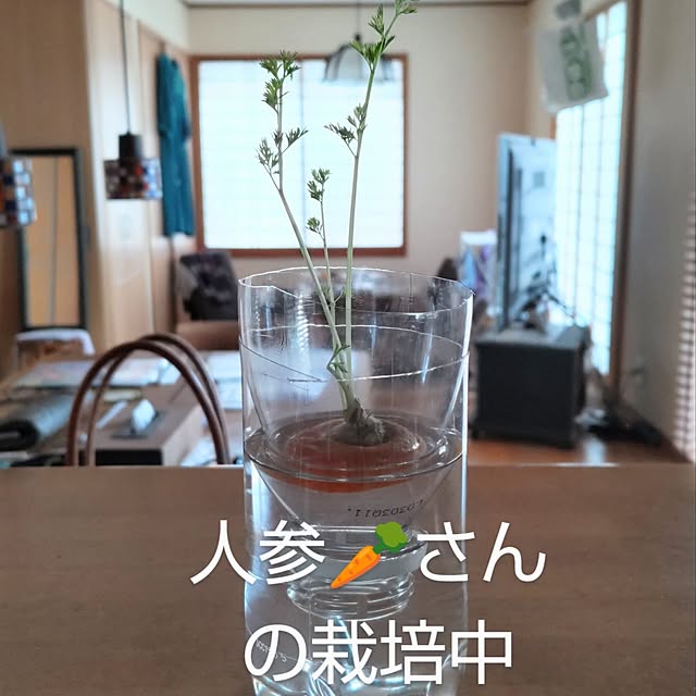 YUKOさんの実例写真