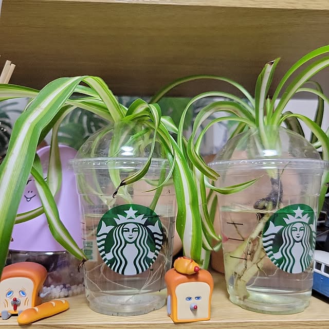 ANTENNAさんの実例写真