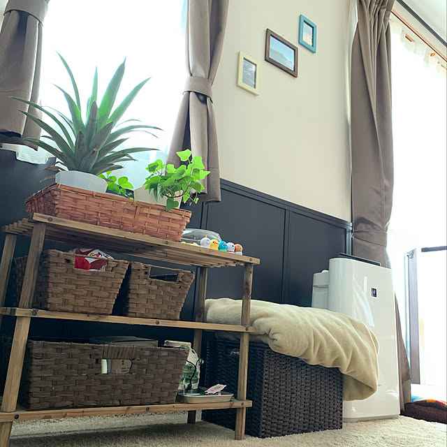 shi622さんの実例写真