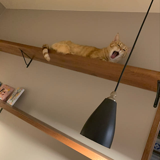 mikeume7さんの実例写真