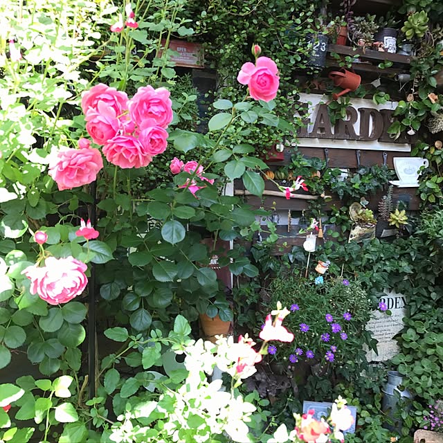 mintさんの実例写真