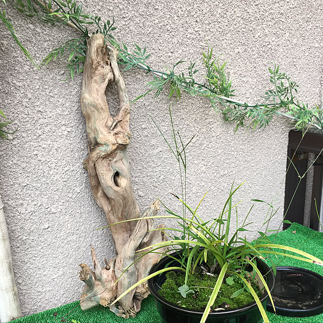 sakuranboさんの実例写真
