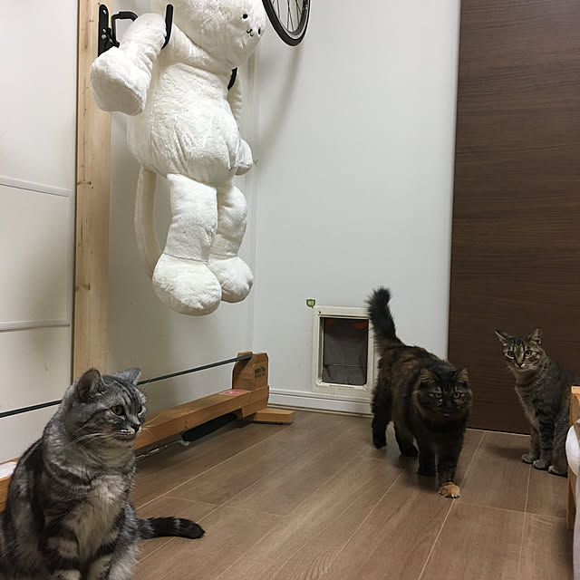 mikomaruさんの実例写真