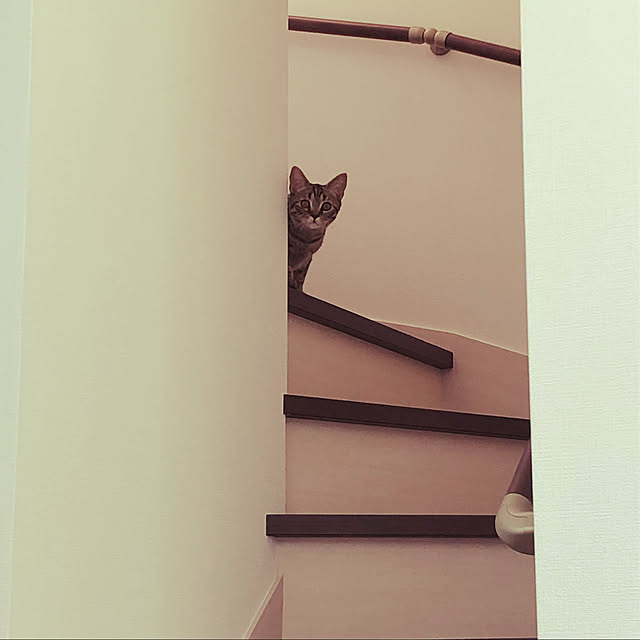 saeさんの実例写真