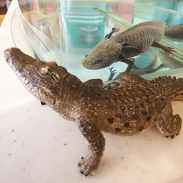 hiromimiさんの実例写真