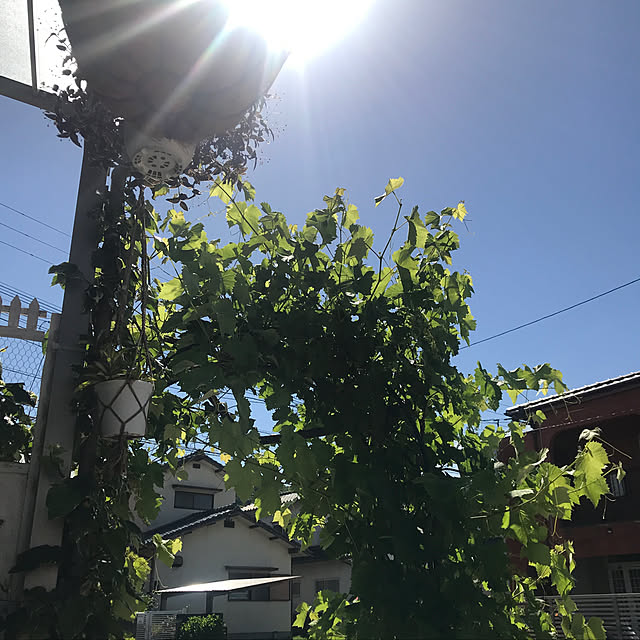 kimuraruさんの実例写真