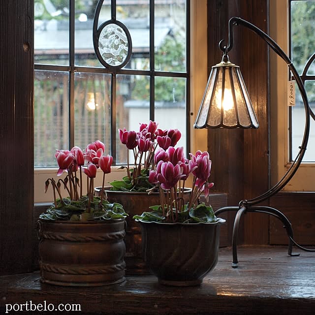 portbeloさんの部屋