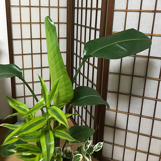 ninaninaさんの実例写真