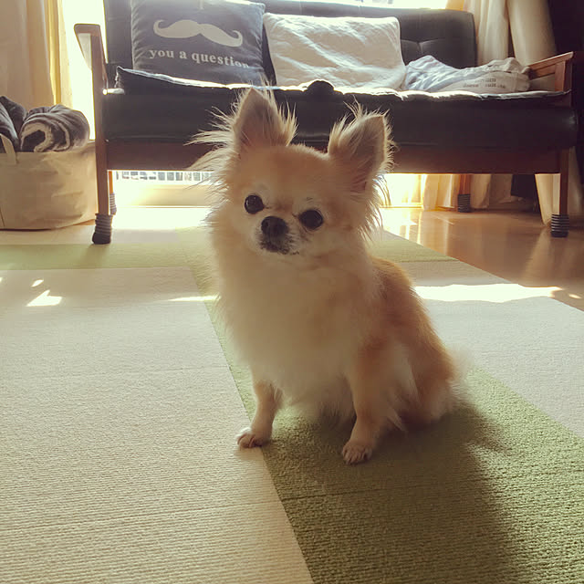 konomi513さんの実例写真
