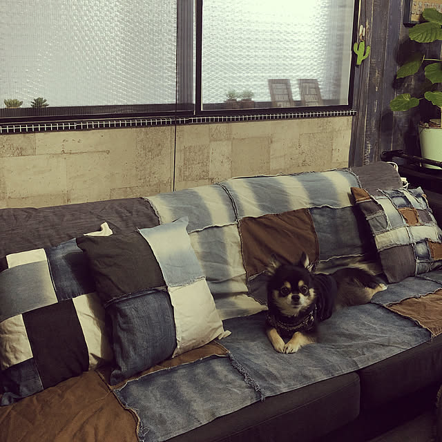 Ayaさんの実例写真
