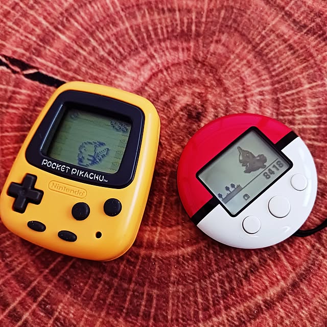 5101103さんの実例写真