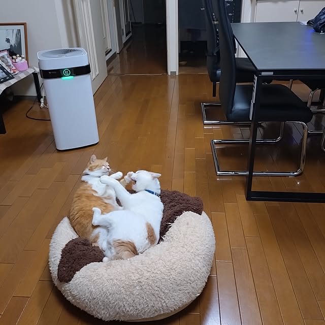 NOAHさんの実例写真