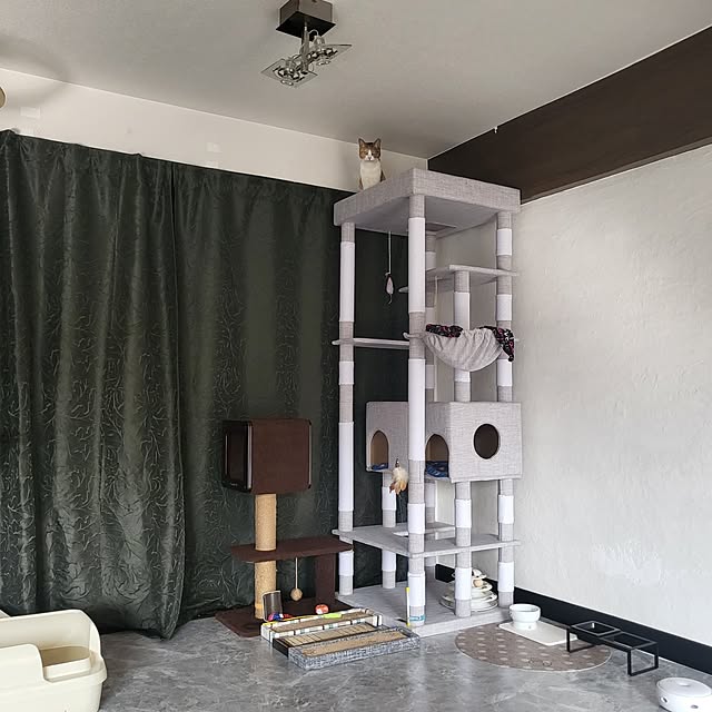 momoさんの部屋