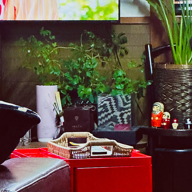 chacoさんの部屋