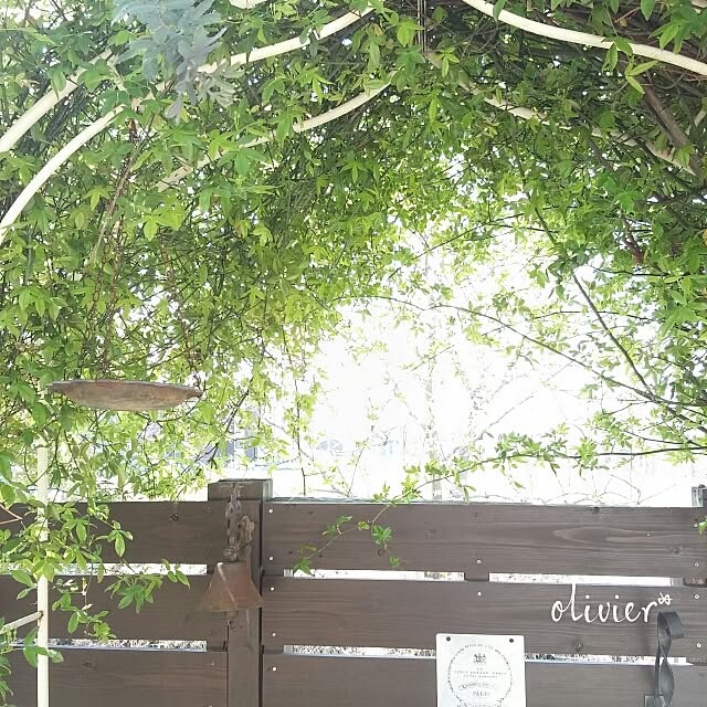 olivierさんの実例写真