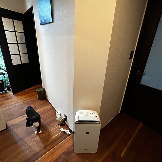 porinさんの部屋