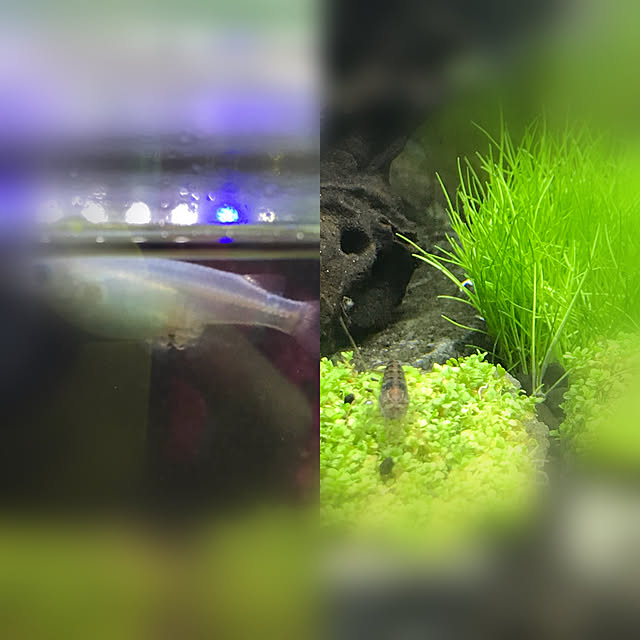 kouta_Co.さんの実例写真