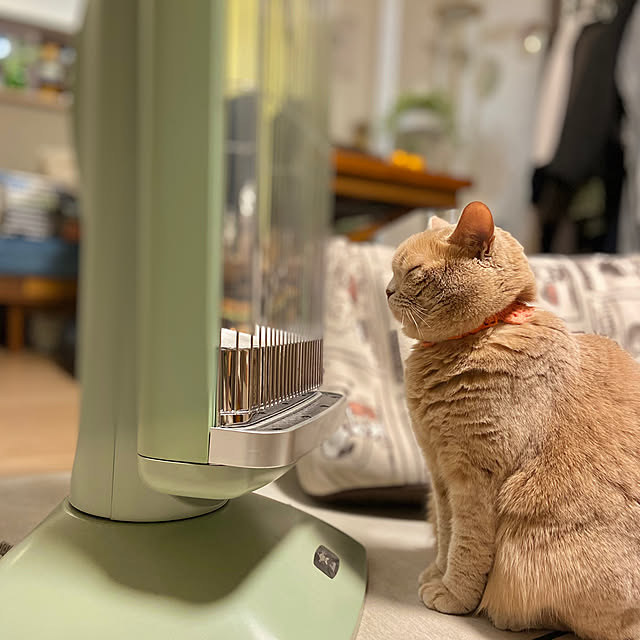 tomoさんの部屋