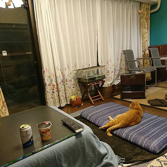 okyosan101さんの実例写真
