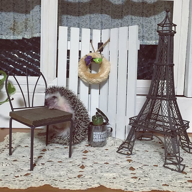 RURULOVEさんの実例写真