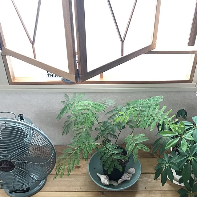 takaさんの実例写真