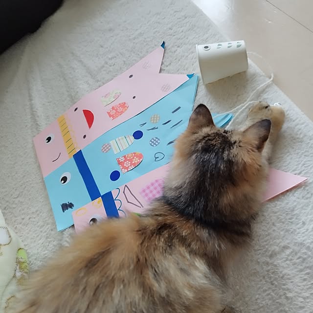 chacoさんの部屋