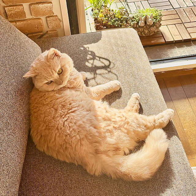 naokoさんの部屋