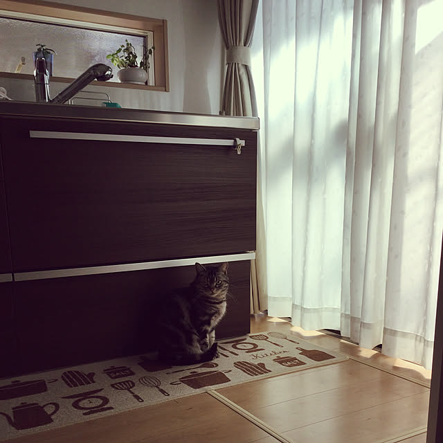 richanさんの実例写真