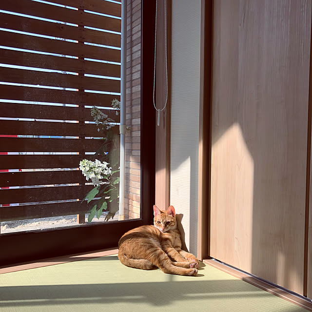 takakoさんの実例写真