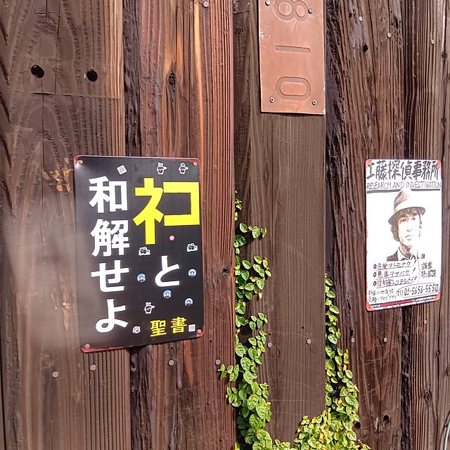 zrx9281さんの実例写真
