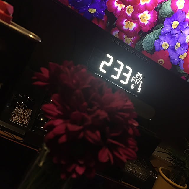 shichanさんの実例写真