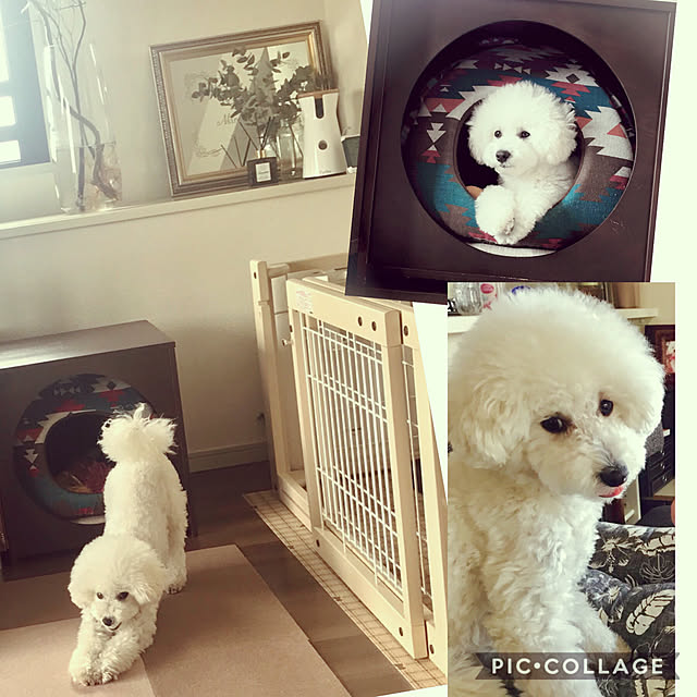 amanoaさんの実例写真