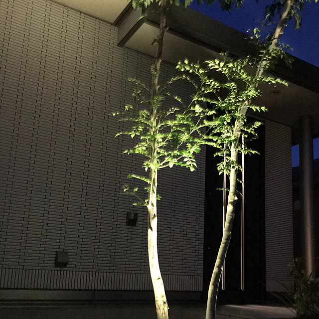 Shihoさんの実例写真