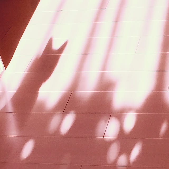 kimishigureさんの実例写真