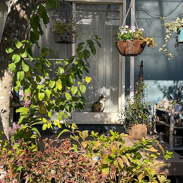 nobikoさんの部屋