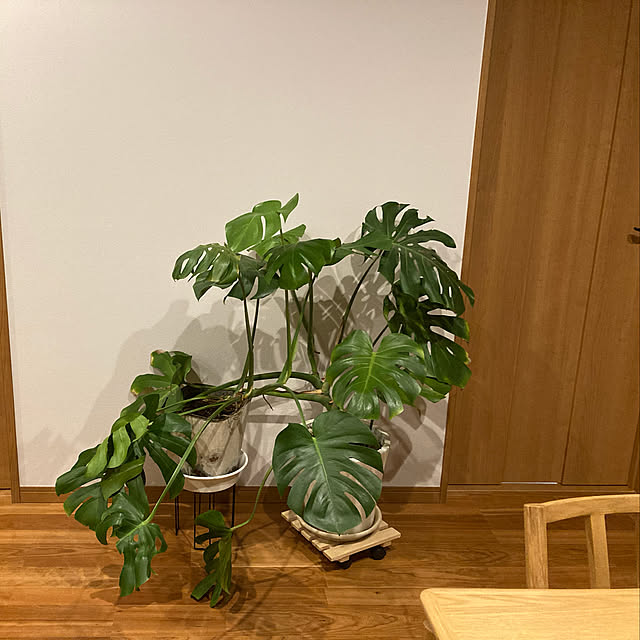 1546さんの実例写真