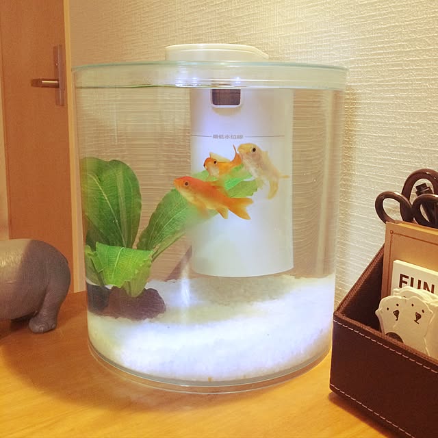 a.ya1124さんの実例写真