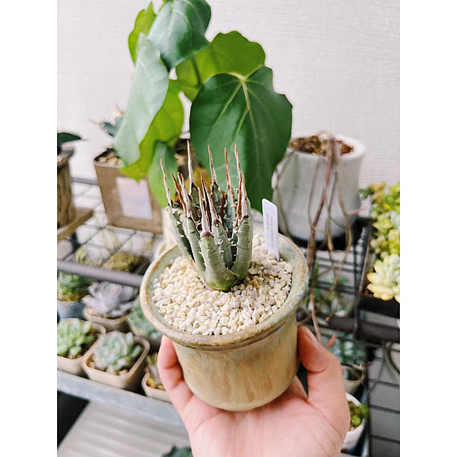 w_end_0625さんの実例写真