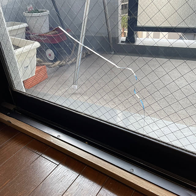 honpoさんの部屋
