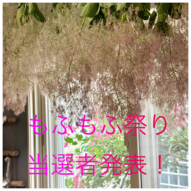 asako.10さんの実例写真