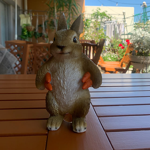 Aqettyさんの部屋