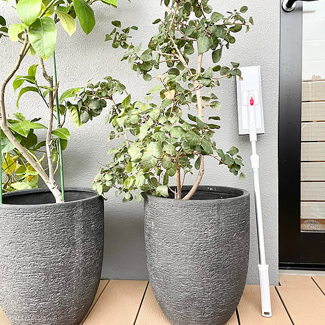 tina315mhさんの実例写真
