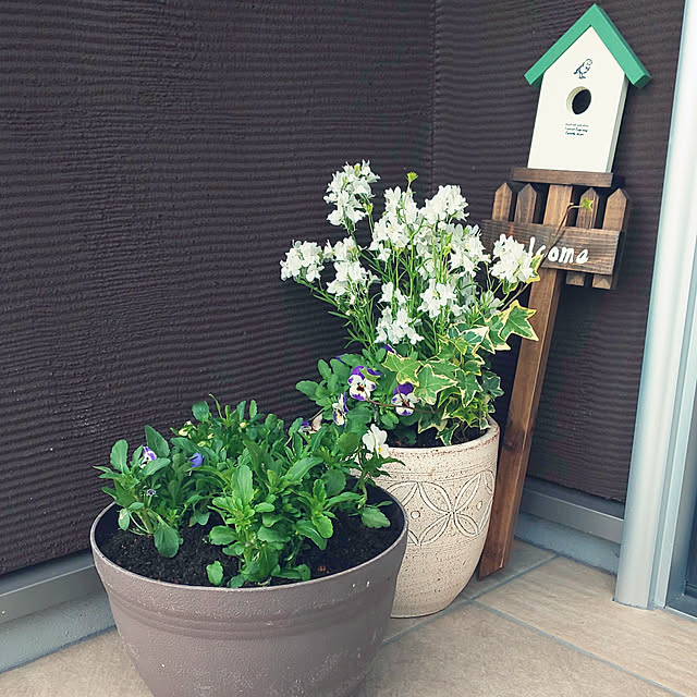 KOHAKUさんの実例写真