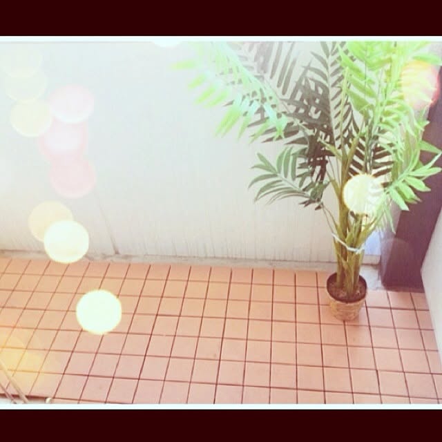 riiさんの実例写真