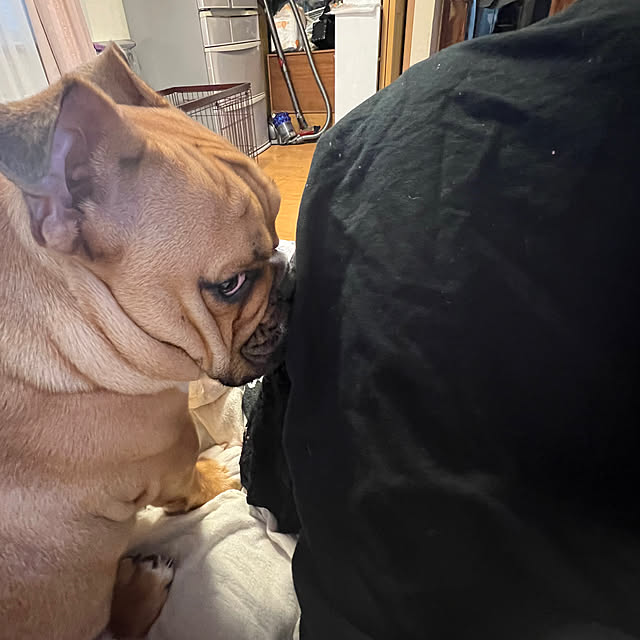 chi_gogaさんの部屋