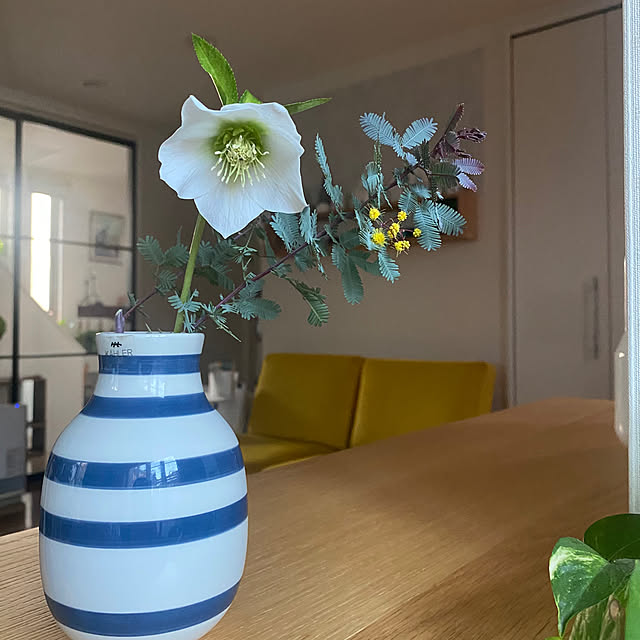 fu-mufumuさんの実例写真