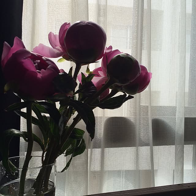 ____Mukさんの実例写真