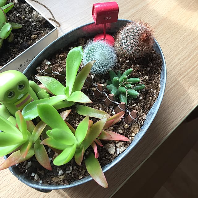 Mahoさんの実例写真